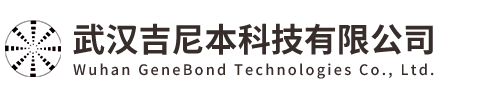 武汉吉尼本科技有限公司